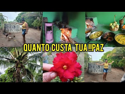 COMIDA NORDESTINA PREPARADA NO FOGÃO DE LENHA NO INTERIOR DA #BAHIA 🇧🇷 