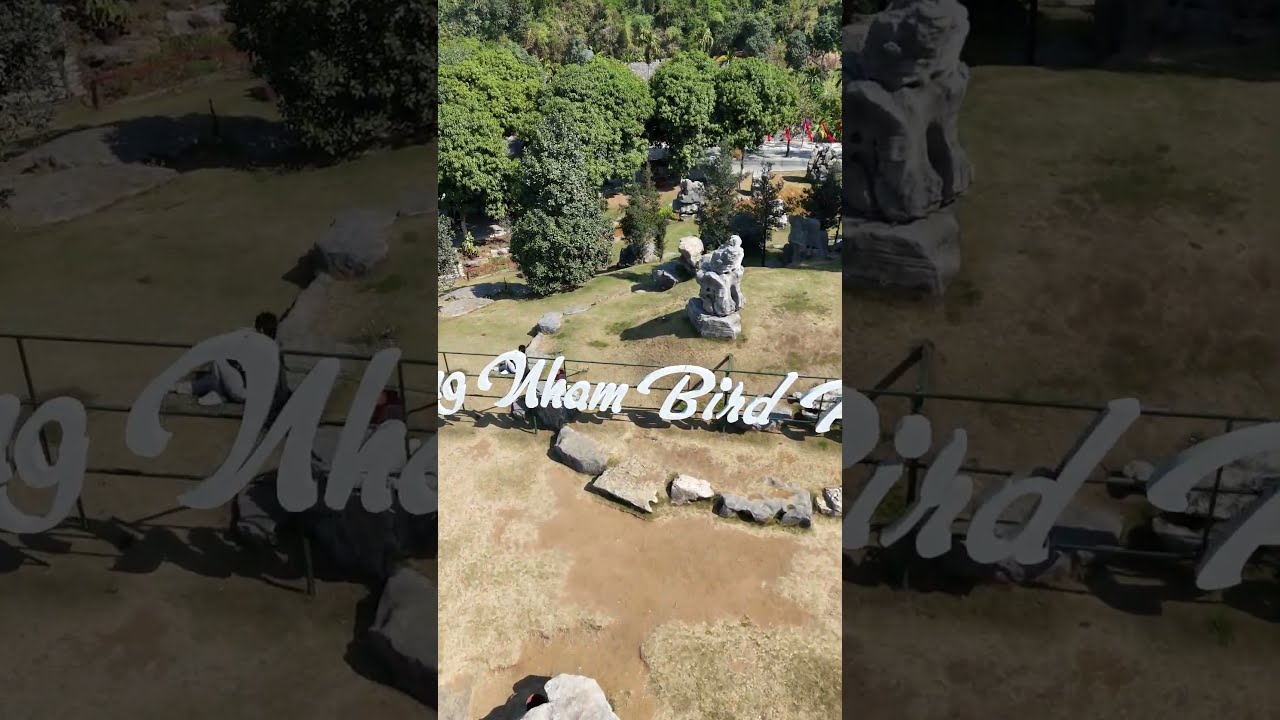 YouTube Short thumbnail