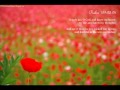 The Power of Your Love - Geoff Bullock 
