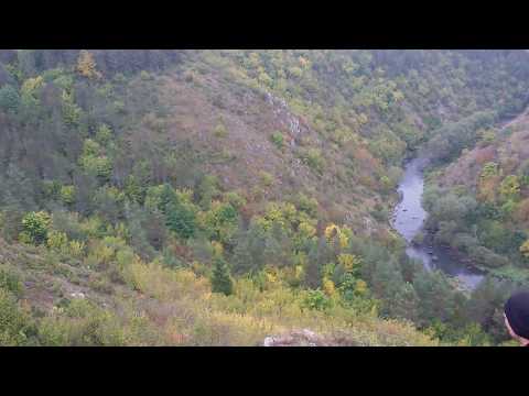 Lov na lisicu (gon) obuka stenadi