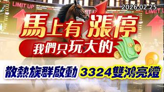 20260225《股市最錢線》#高閔漳”馬上有漲停，我們只玩大的！””散熱族群啟動，3324雙鴻亮燈”
