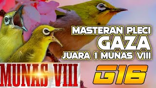 Download lagu Masteran pleci juara g16 MUNAS VIII pleci Gaza , pcmi plat ae mp3 Download lagu Masteran pleci juara g16 MUNAS VIII pleci Gaza , pcmi plat ae mp3