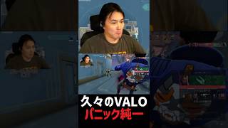 久々のVALOでパニックパニック
