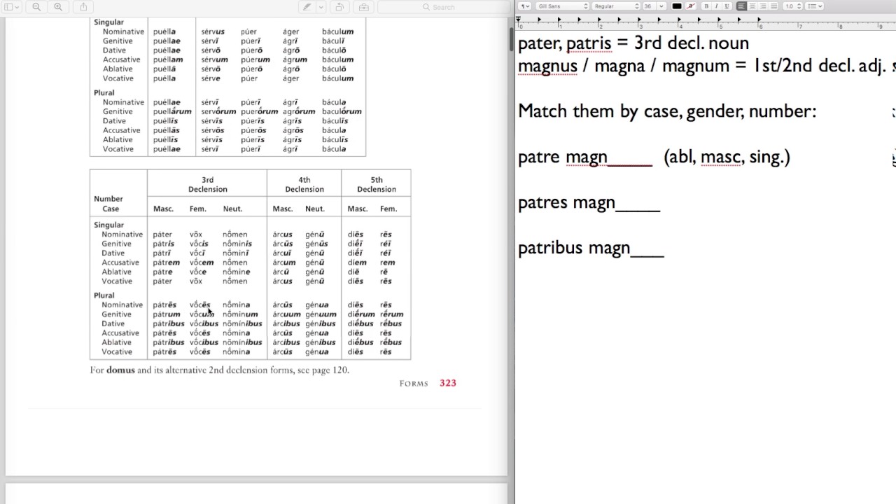 Matching Nouns and Adjectives