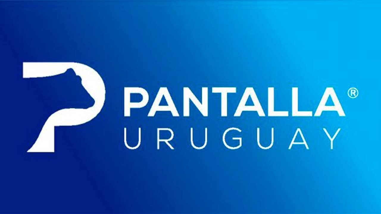 Ver transmisión en vivo