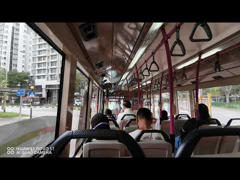 [SBST] SBS8767U On Service 163 - Scania K230UB Euro V Gemilang Batch 1