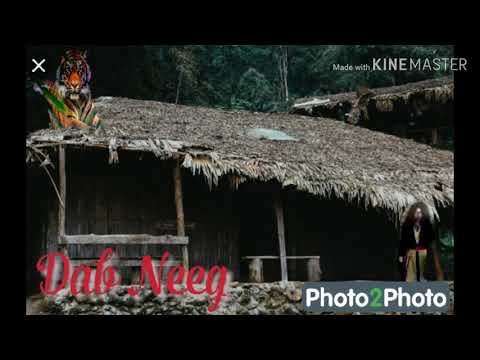 Dab neeg nyab khiav ua nkauj fa mus ntsib txov thaib poj ntxoog