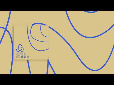 #RoMinimal | Intaresu Podcast 118 - Sensek