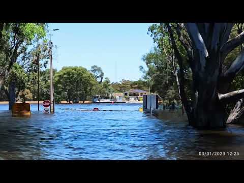 Morgan Flood 2022 V 2