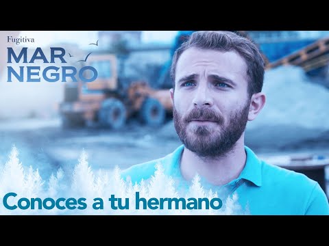¿Mustafa a dónde se fue? - Mar Negro Capítulo 81 | Fugitiva