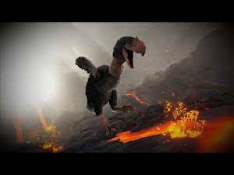 LOST ISLAND -Domando o Combatente da semana