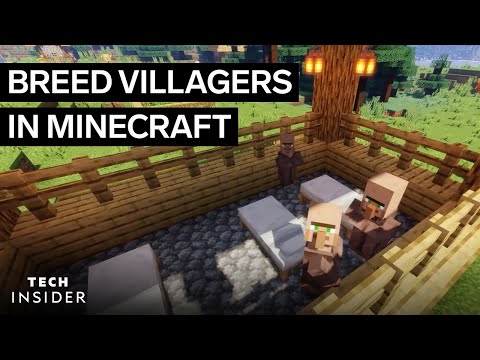 How To Breed Villagers In Minecraft