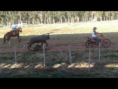 Vaca mecanica em São Valerio do Sul
