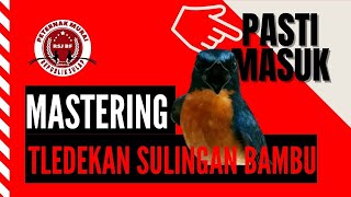 Download lagu Tledekan Sulingan Bambu gacor | Suara Air Alam Hutan | Mastering | Masteran Burung | Full HD mp3