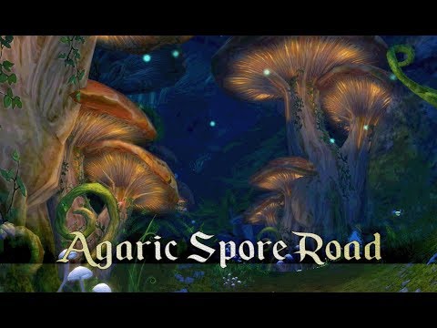Aion - Poeta: Agaric Spore Road (Exploration  Music):