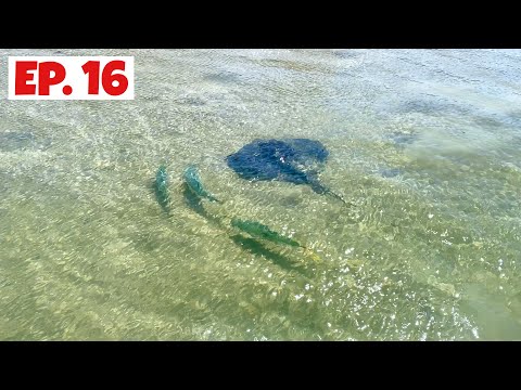 Insane Surface Strike from Ray Riders