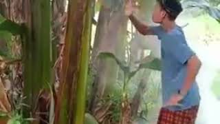 Download lagu Narik kodam pusaka cawet goyang mp3