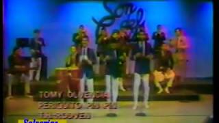 Periquito Pin Pin Lyrics English Translation