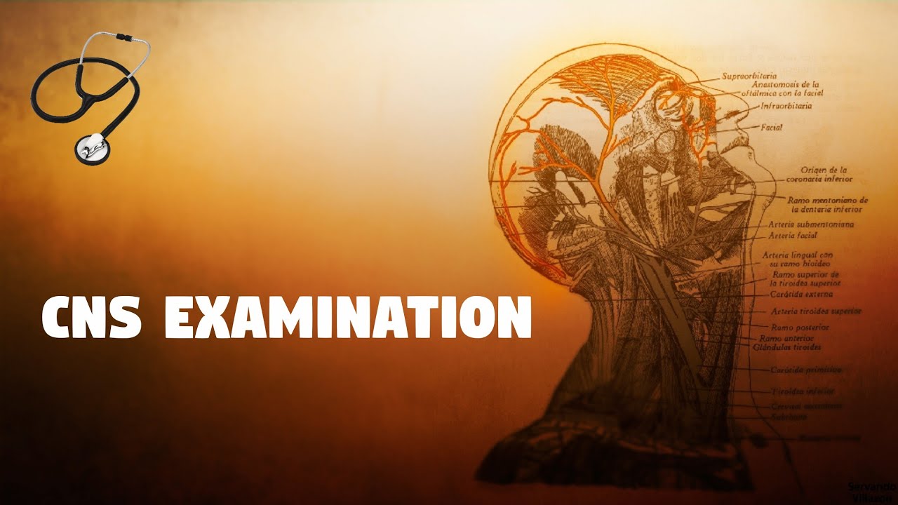 CNS Examination || Sensory system