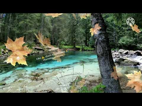 Nature beauty 🌿🍃 | charming pratima