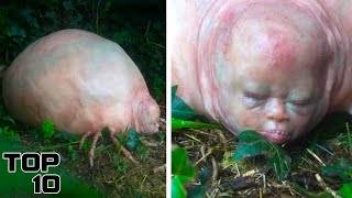 What This Forest Ranger Discovered In The Woods Will Horrify You