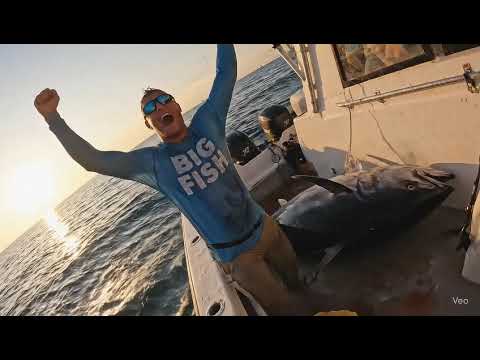 Big Fish: Fishing network