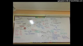 17) Dr. wael salah Errors Of Refraction 2