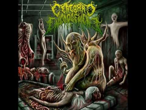 GHP Presents:Cerebral Engorgement(Putrid Insectoid Fuckification)