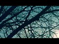 Ilayaraja BGM Whatsapp Status