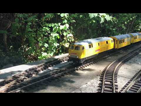 Gartenbahn Fahrtag mit vielen bunten Zügen von Piko und LGB