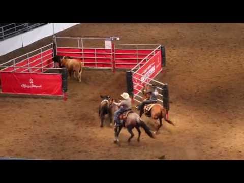 Calgary Stampede 2016 - Team Cattle Penning 10 Class win