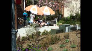 Tiger Rag - Preservation Hall Jazz Band - 2012 Clemson Tigers football