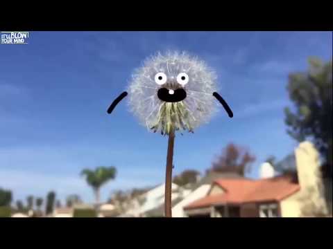 Secret World of funny stuff    Full Compilation by Sean Charmatz