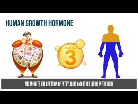 Human Growth Hormone Fragment 176-191 Peptide