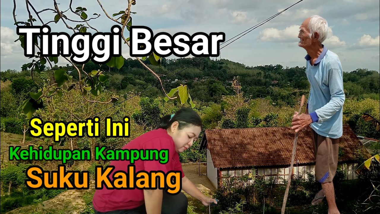 Putih Tinggi Besar Seperti Ini Orang Suku Kalang Asli Jawa Kuno Di Bojonegoro dan Tuban