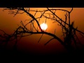 Tangerine Dream - Valley Of The Sun