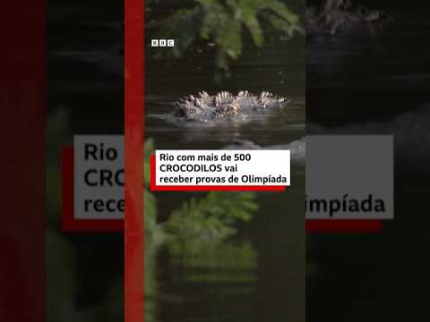 Rio com mais de 500 crocodilos vai receber provas de Olimpíada