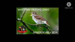 Download lagu Masteran burung sikatan londo   terapi air|pakai jeda mp3 Download lagu Masteran burung sikatan londo   terapi air|pakai jeda mp3