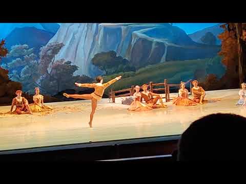 Koya Okawa, Paysan pas de deux, NOVAT, 16.01