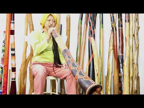 Jesse lethbridge Didgeridoo key of D (webcode 8292)