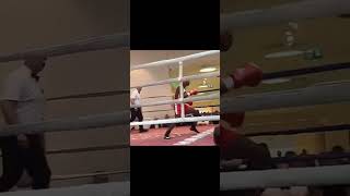 Download lagu Maharaja mp3