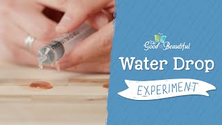 Water Drop Experiment | Weather and Water | The Good and the Beautiful