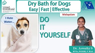 How to Dry Bath Dogs at Home | NO Water Used | Treat Unusual Veterinary Hospital, Dr. Aswathy