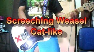 Screeching Weasel - Cat like (Guitar Cover)