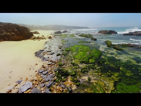 Portuguese Waves - Customer Success Story