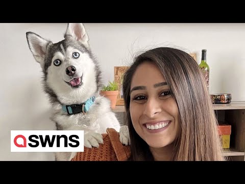 "I taught dog to speak so he can boss around hubby and tells him to bring food and drink" | SWNS