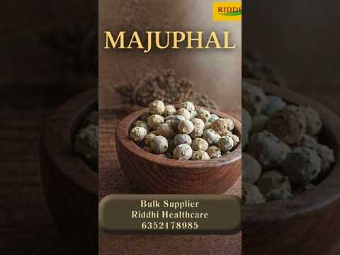Bulk Maju Phal (Oak Gall) | Riddhi Healthcare