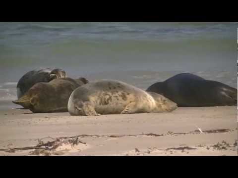 los-runter-von-der-couch.de / Helgoland