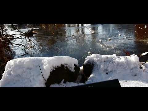 Park mesta Lucenec [HD] zima 2017