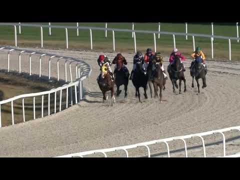 2018.11.04. 06. futam - BENSON VILMOS EMLÉKVERSENY - NEMZETKÖZI LOVASUTÁNPÓTLÁS HENDIKEP (V.o.)